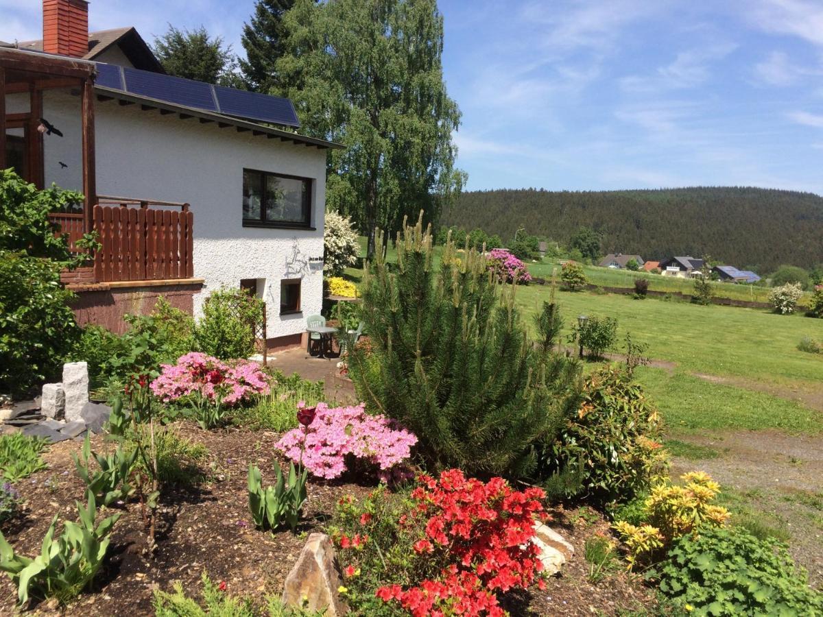 Apartamento Haus Am Wald - Urlaub Am Nationalpark Langweiler  Exterior foto