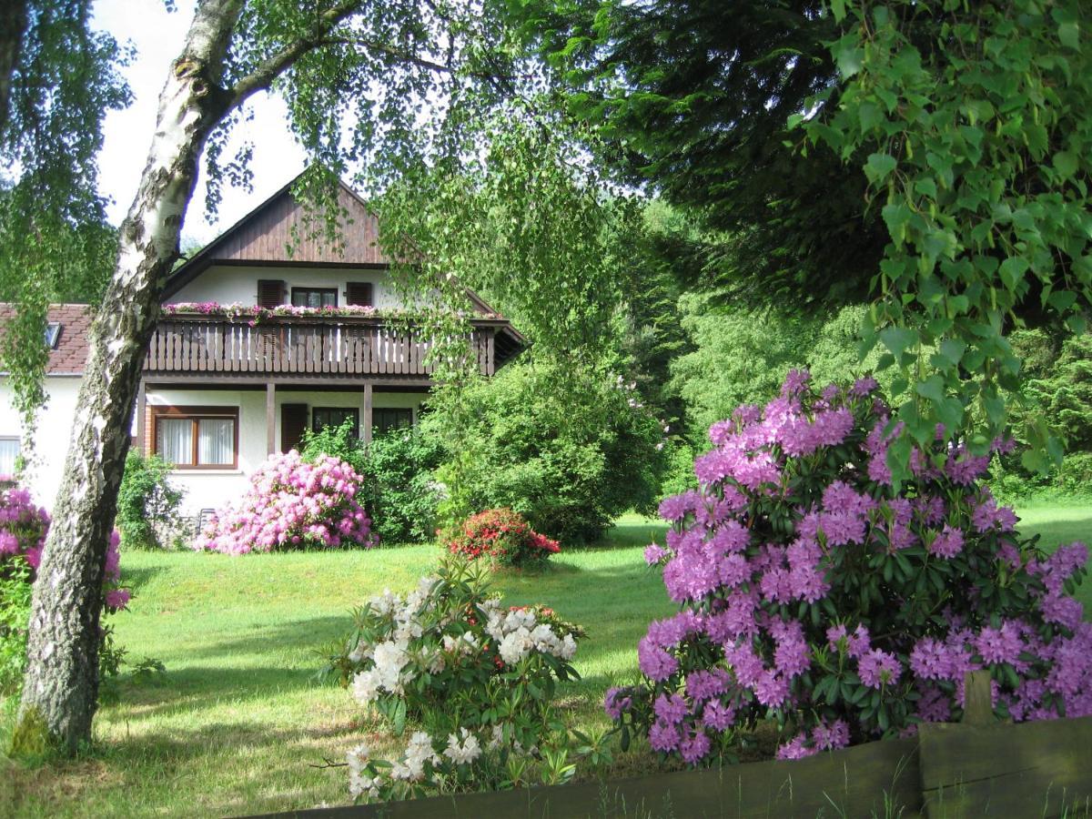 Apartamento Haus Am Wald - Urlaub Am Nationalpark Langweiler  Exterior foto