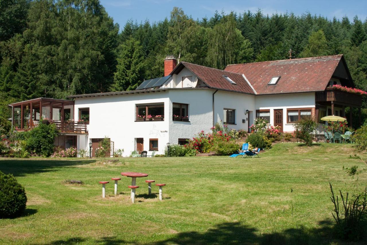 Apartamento Haus Am Wald - Urlaub Am Nationalpark Langweiler  Exterior foto